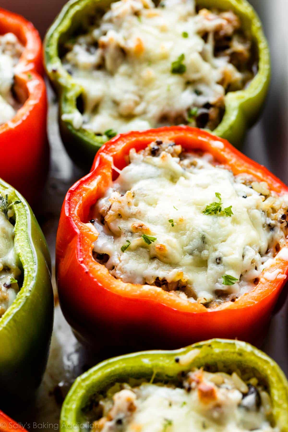 stuffed peppers with melted cheese on top