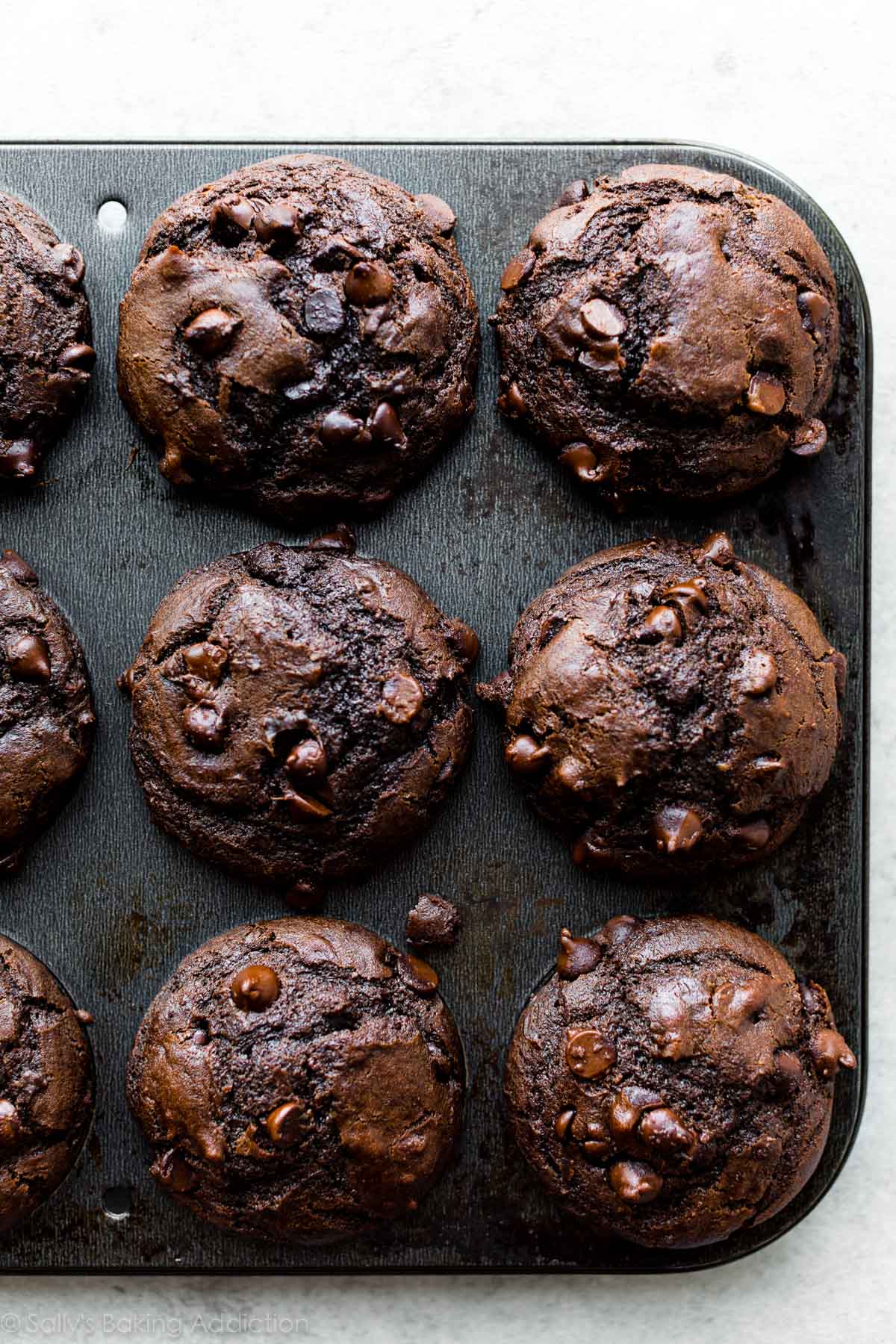 double chocolate cakes in a muffin pan