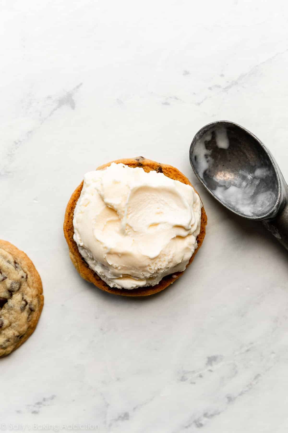 vanilla ice cream spread on the bottom of a cookie.