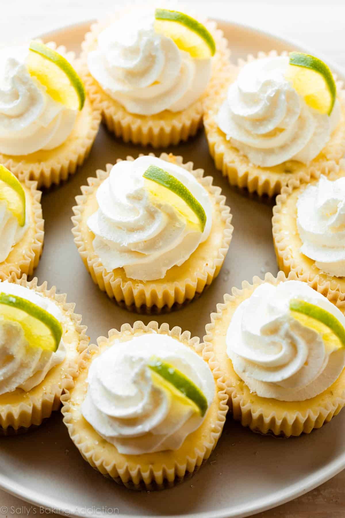 mini margarita cheesecakes with tequila whipped cream.