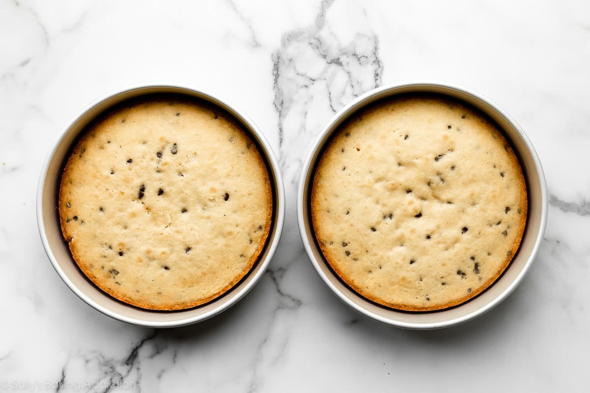 two round 9-inch chocolate chip cakes in cake pans.