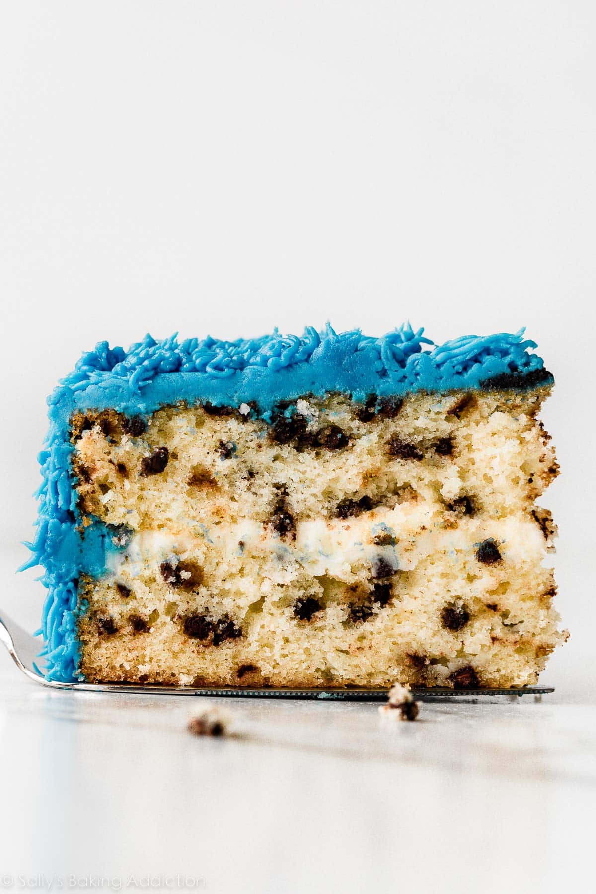 chocolate chip layer cake with blue frosting.