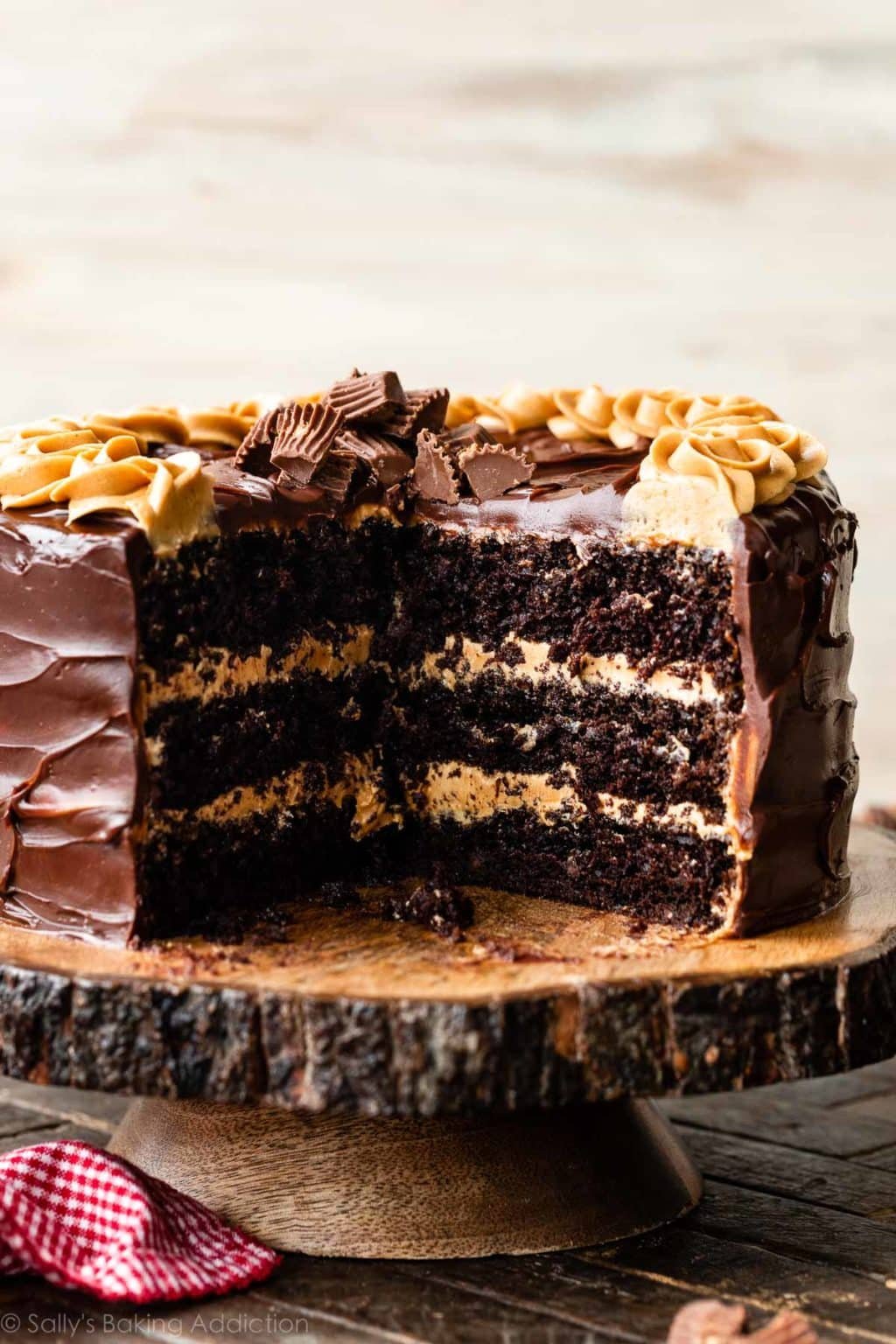 Chocolate Peanut Butter Cake (Recipe + Video) Sally's Baking Addiction