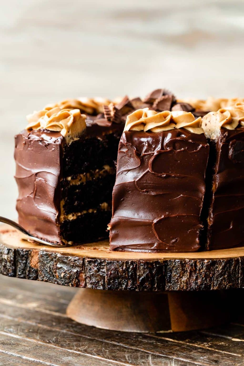 Chocolate Peanut Butter Cake (Recipe + Video) Sally's Baking Addiction