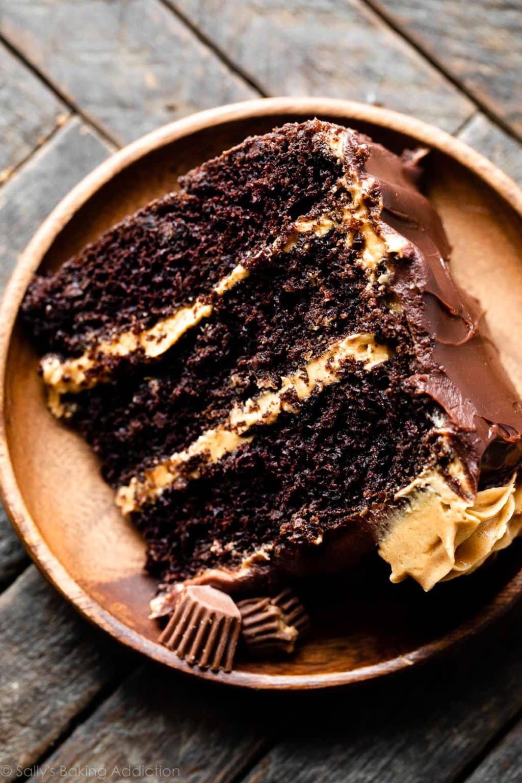 Chocolate Peanut Butter Cake (Recipe + Video) Sally's Baking Addiction