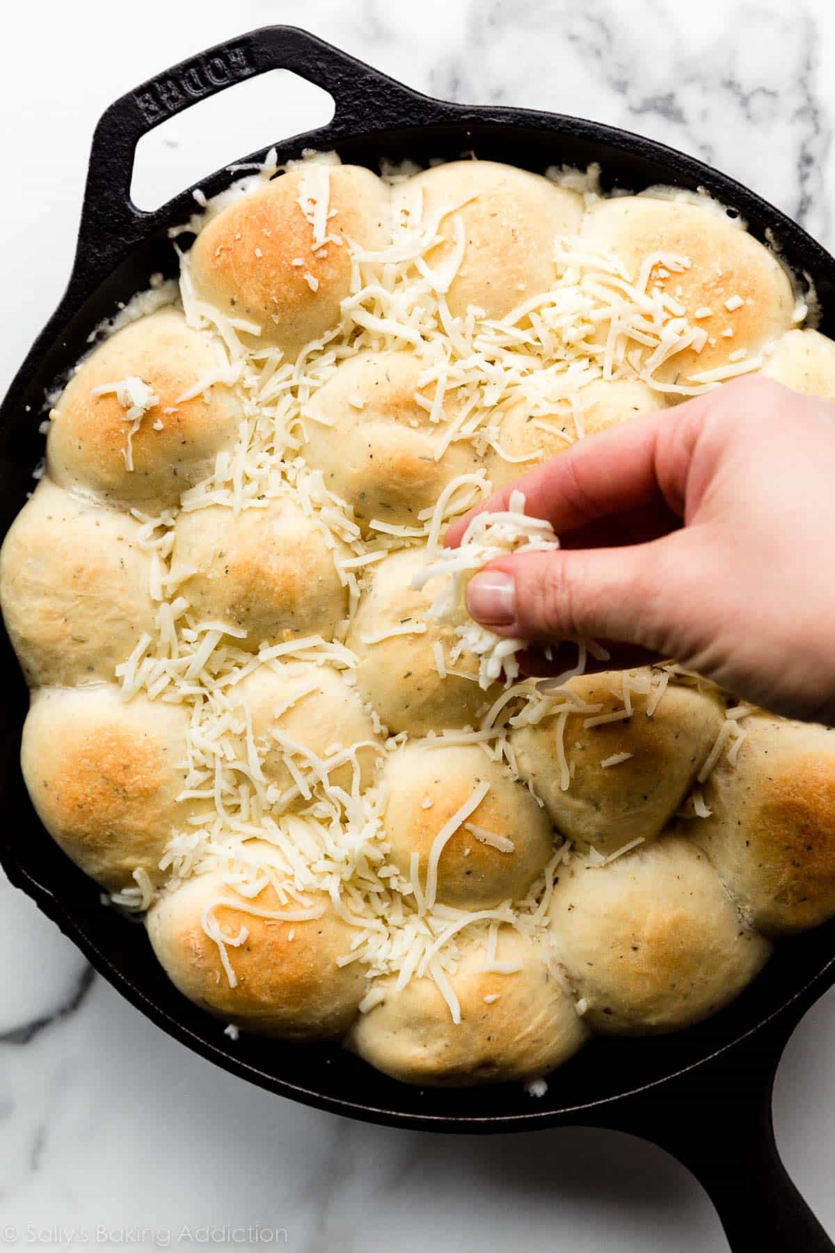 topping par-baked rolls with mozzarella cheese.