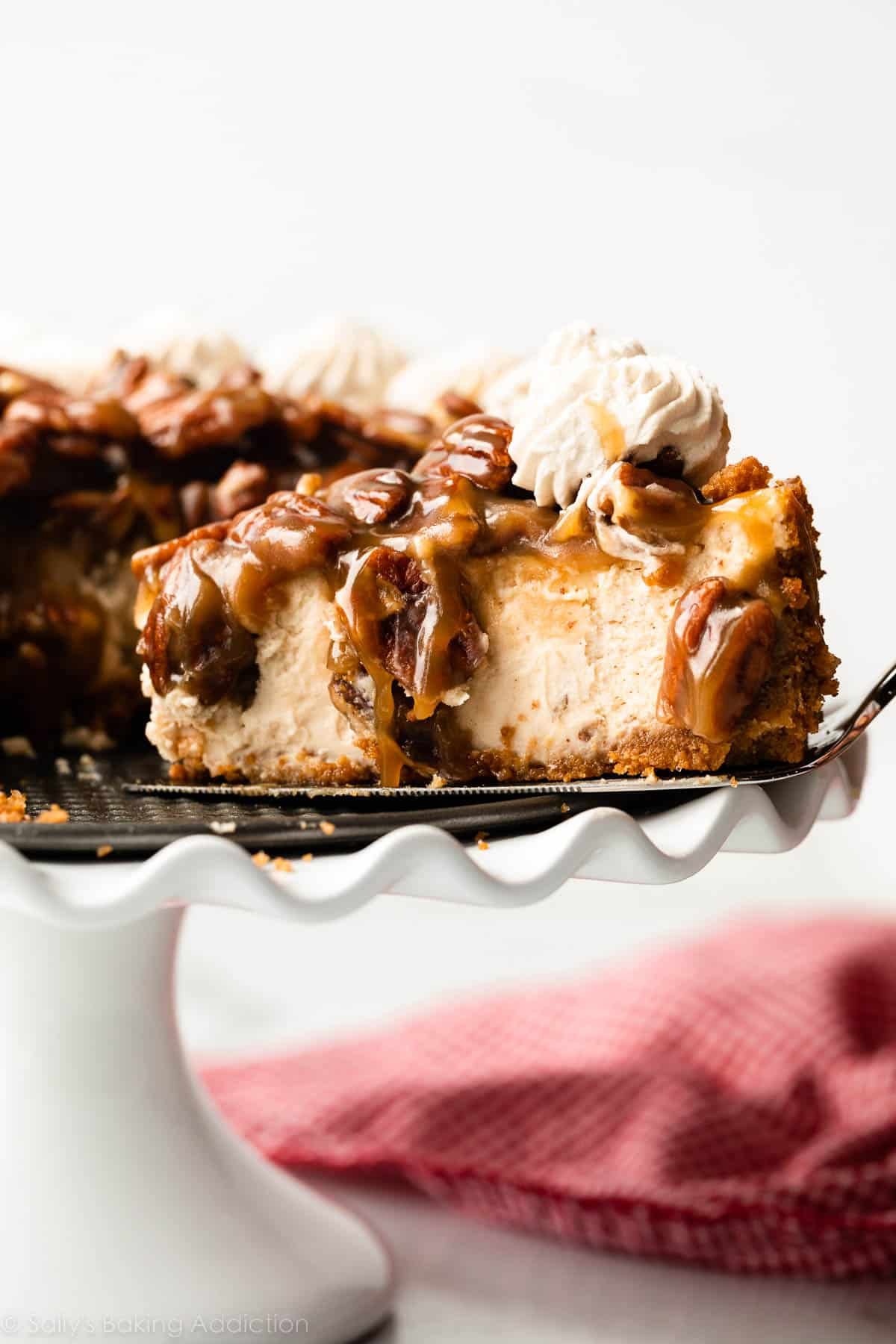 removing a slice of brown sugar cheesecake topped with caramel pecans from the springform pan.