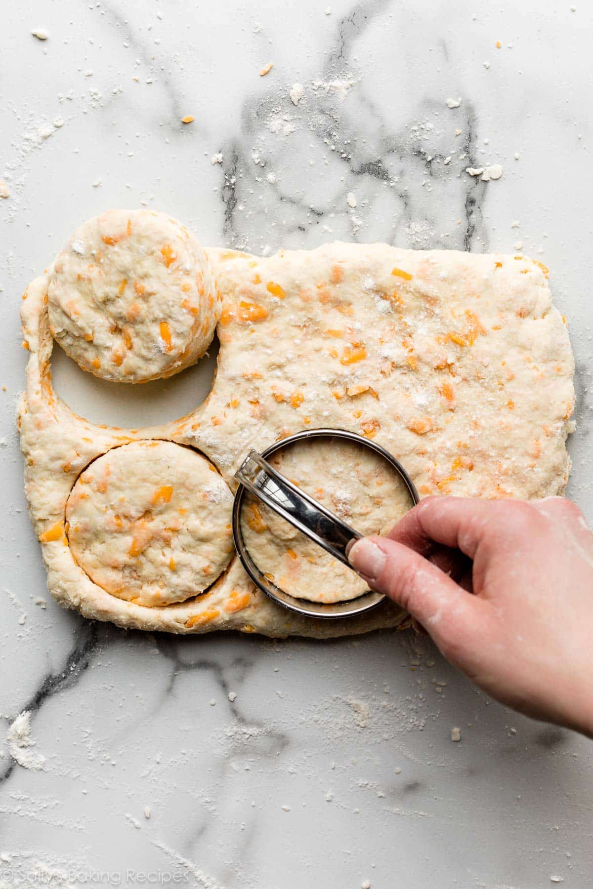 cheese biscuit dough on countertop with hand using cutter to shape into rounds.