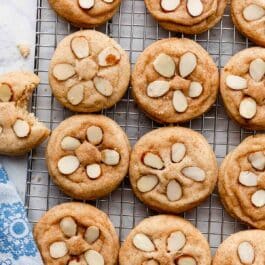 sand dollar snickerdoodle summer cookies with sliced almonds on top on cooling rack.