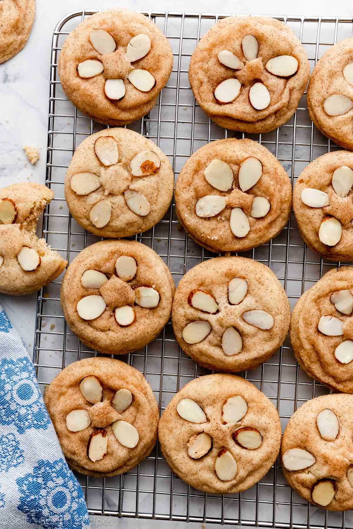 sand dollar snickerdoodle summer cookies with sliced almonds on top on cooling rack.