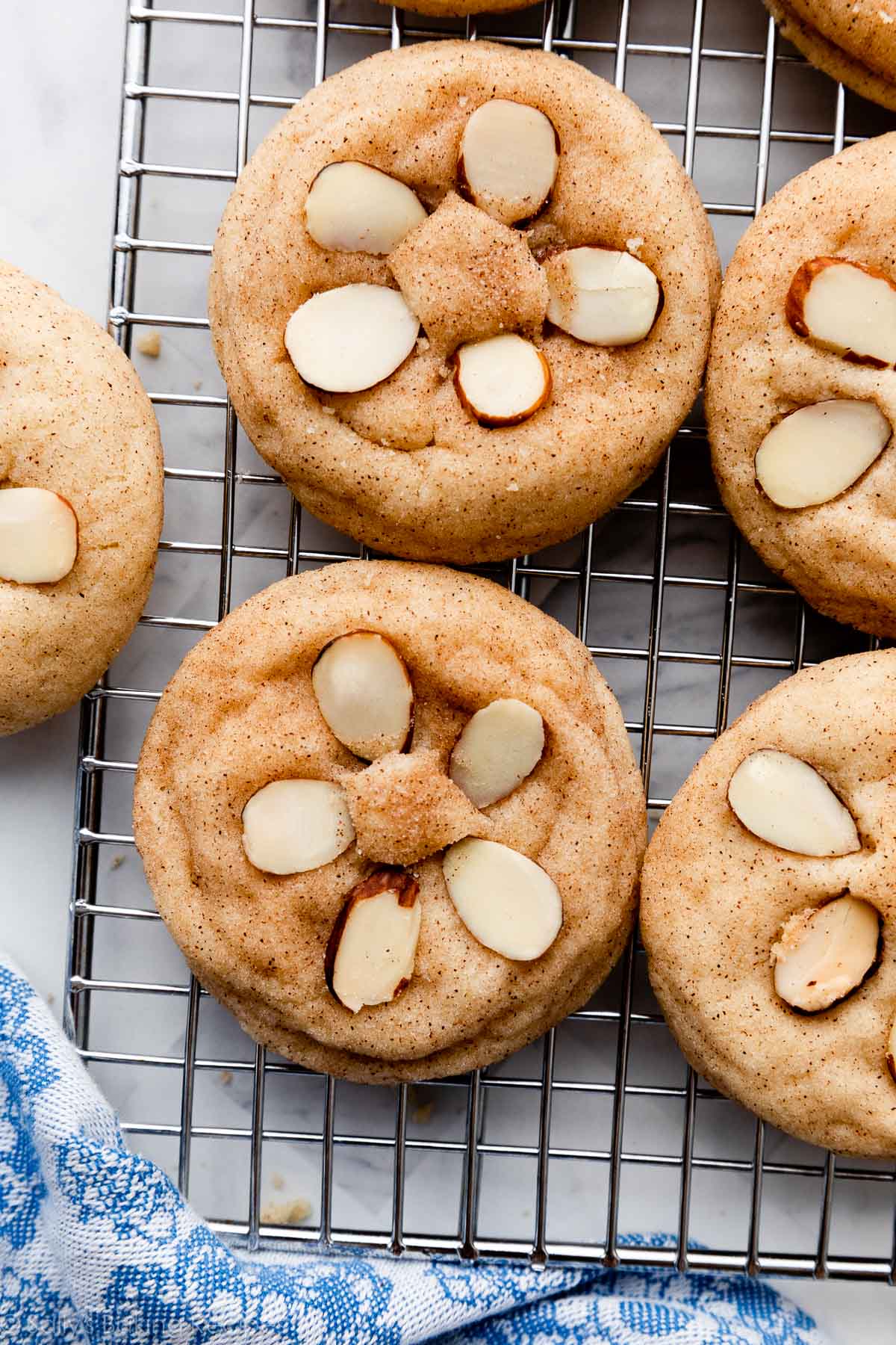 sand dollar snickerdoodles cookies with sliced almonds on top on cooling rack.