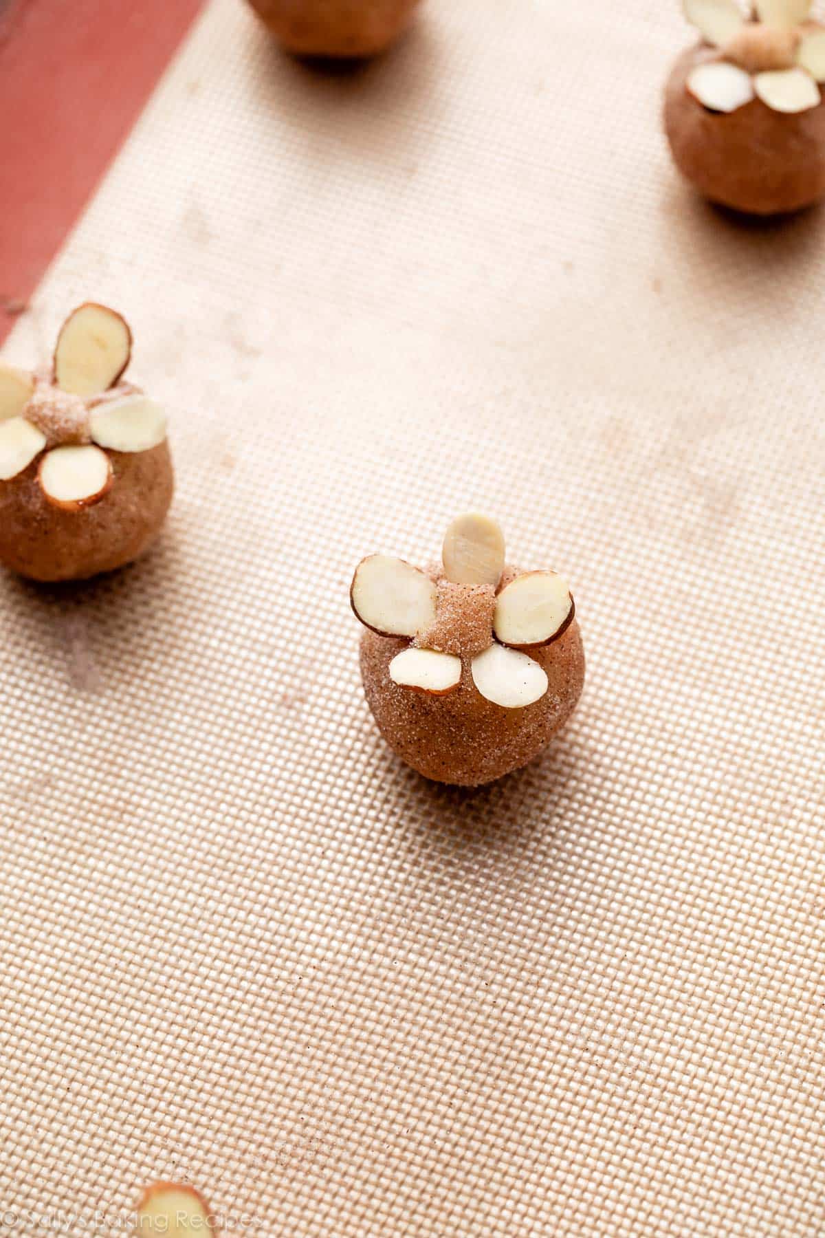 sliced almonds arranged on top of snickerdoodle cookie dough balls.