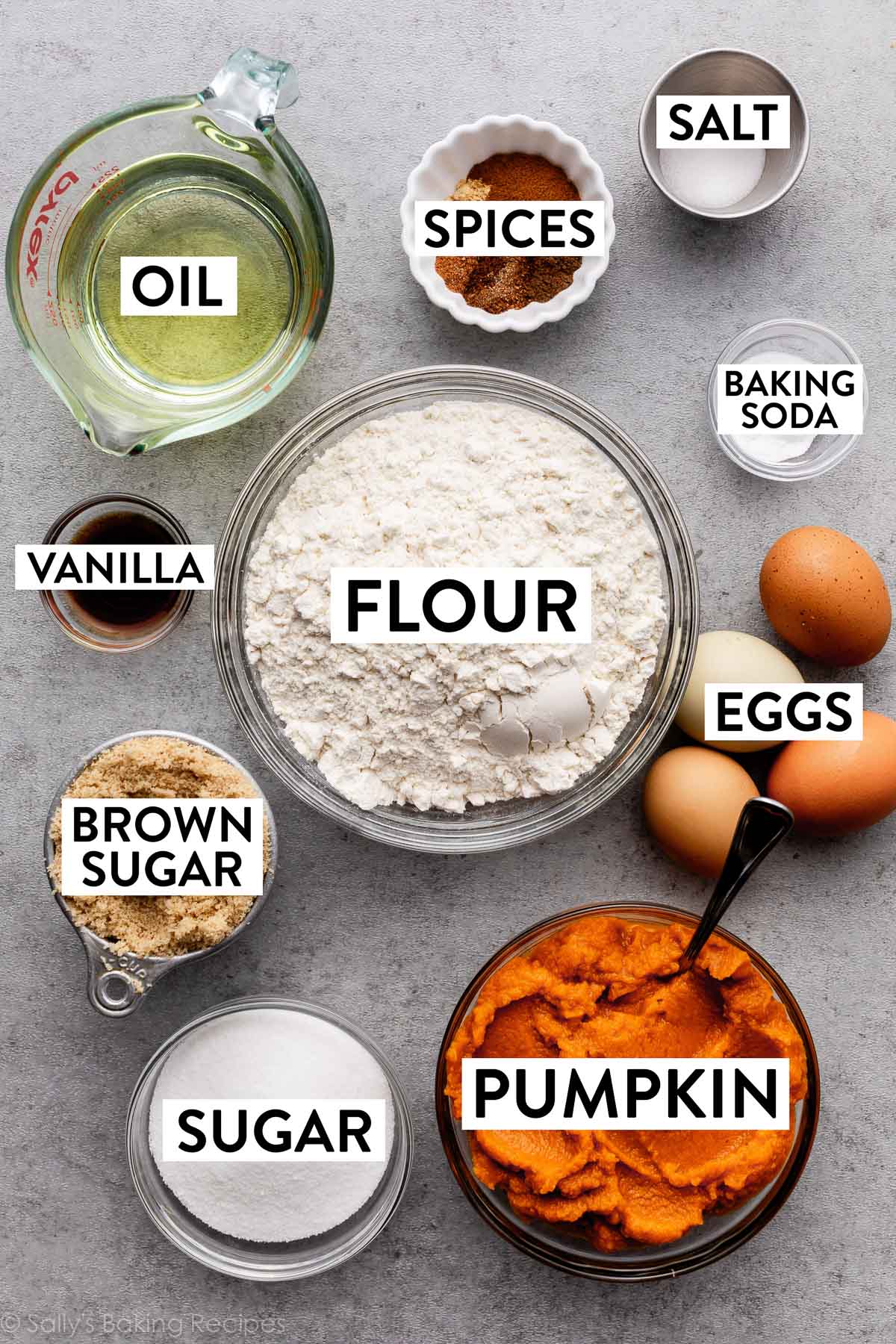 ingredients in bowls on gray backdrop including oil, spices, flour, eggs, sugar, brown sugar, salt, and baking soda.