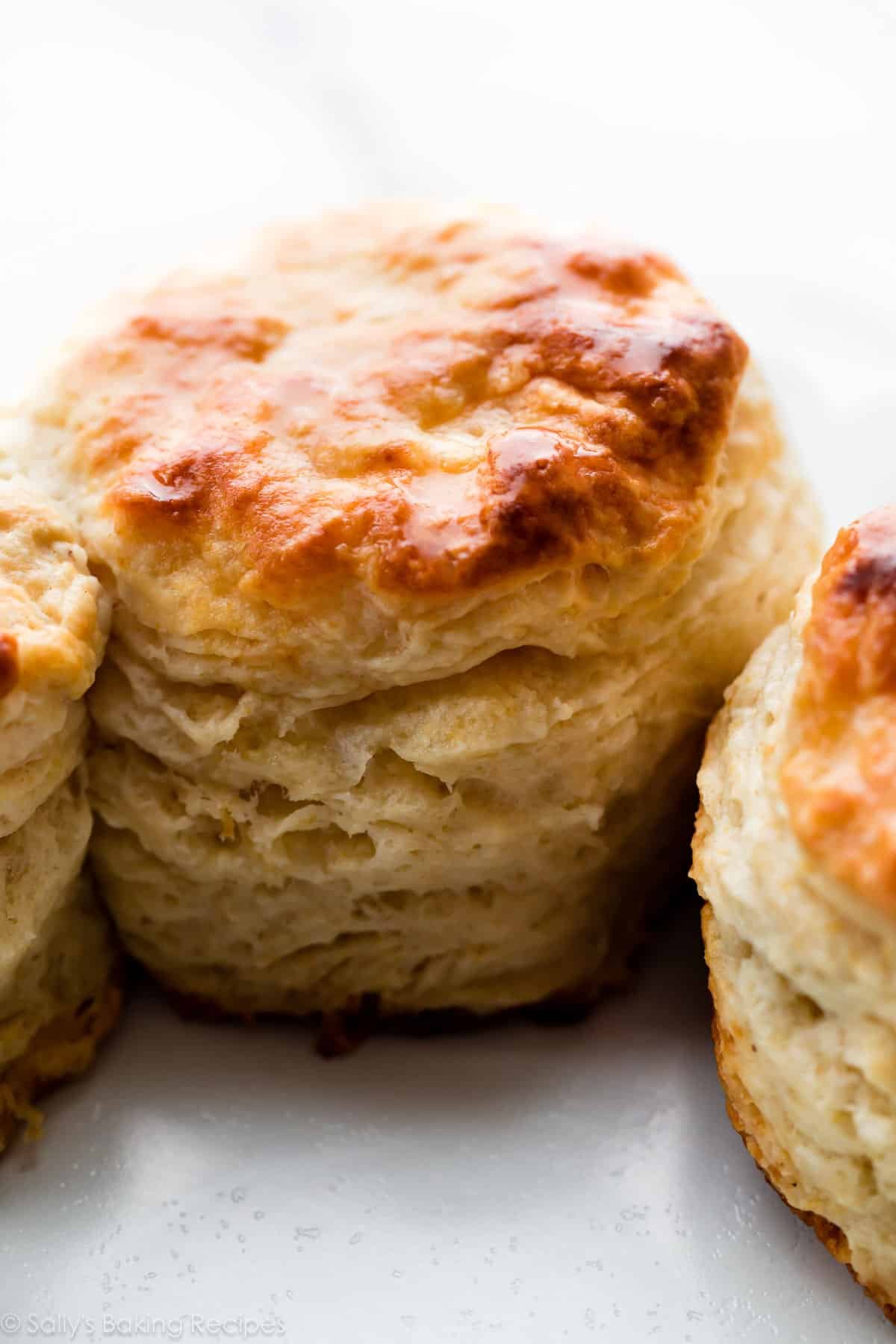 6 Ingredient Homemade Biscuits (Popular Recipe!) - Sally’s Baking Addiction
