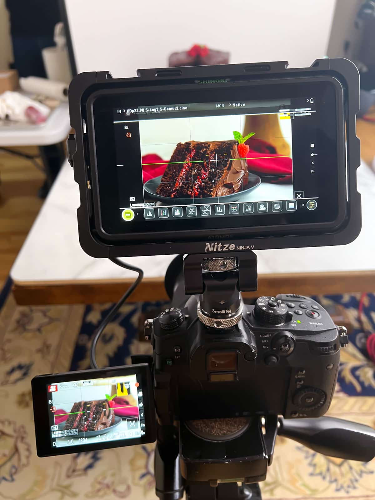 camera view screen displaying chocolate raspberry cake slice.