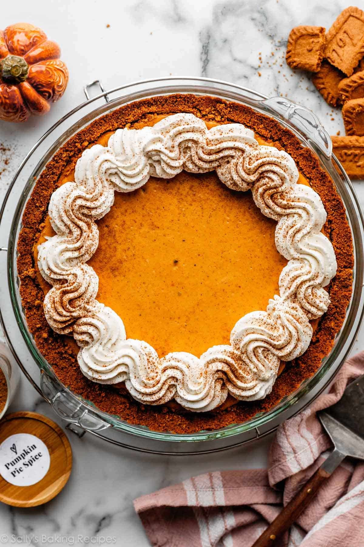 pumpkin cheesecake pie with Biscoff crust and whipped cream piped around the border.