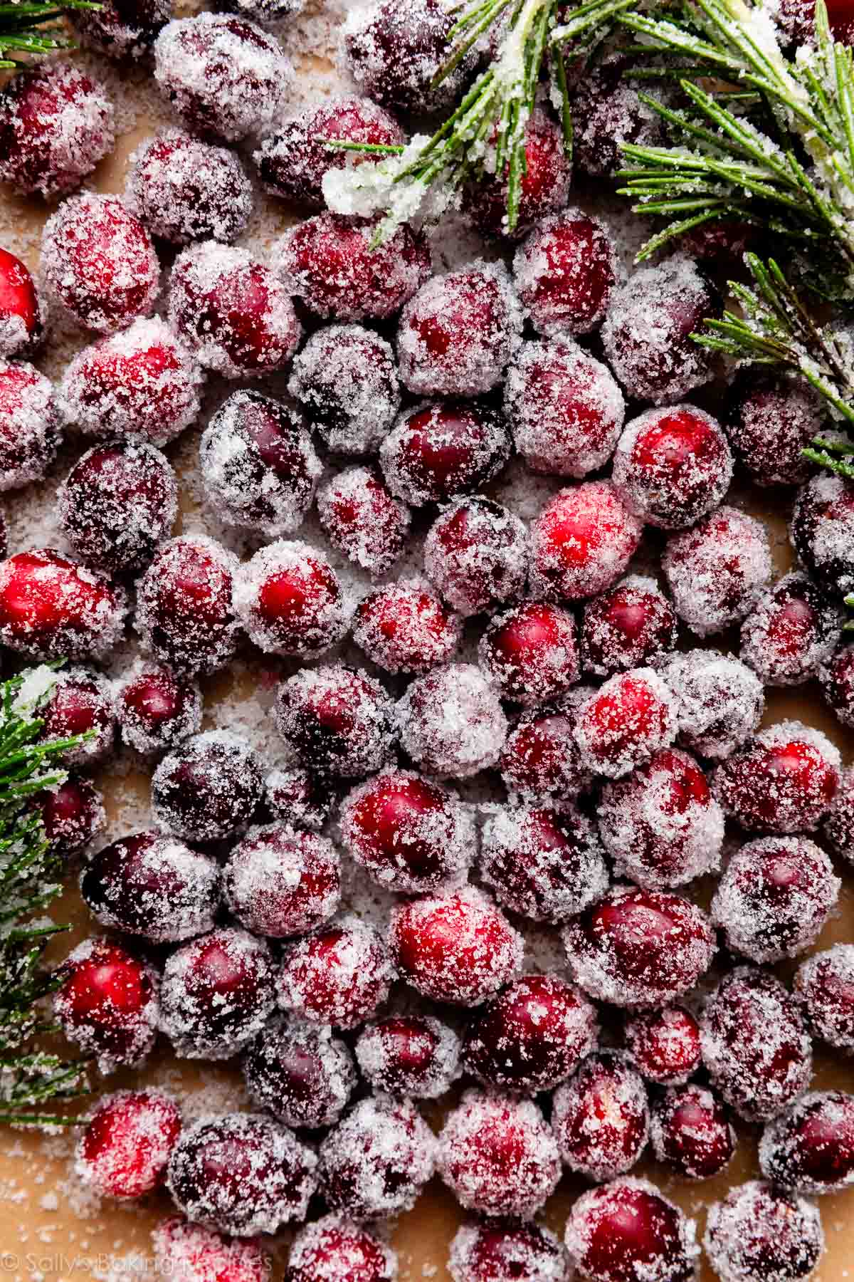 overhead photo of sugared cranberries.